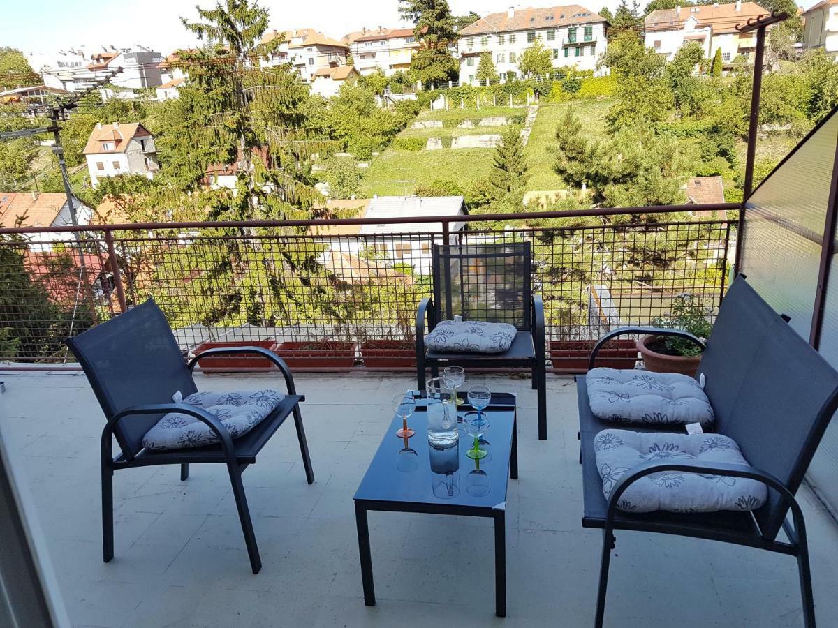 Silverhill Apartment 萨格勒布 外观 照片